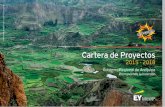 Cartera de Proyectos - ey.com · generado en la ciudad de Lima, mientras que la ... Piura Ica Ancash Cajamarca Junín Lambayeque Puno Loreto Moquegua Ayacucho Tacna San Martín Huánuco