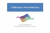 Cálculo Numérico - Blog de Luis Castellanos · Cálculo Numérico – Luis Castellanos 11 La posición de la raíz se determina situándola en el punto medio del subintervalo dentro