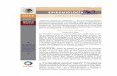 Número 24 Volumen 27 Semana 24 Del 13 al 19 de … · Estructura del Virión de la Encefalitis Equina Venezolana por reconstrucción de imagen de micrógrafos de electrón. Representación