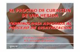 Proceso de Curacion-TERMINOLOGIA - saludmed.com · terminologíadiversa el proceso de cicatrizaciÓn (curaciÓn) de una herida terminologÍa asociada al proceso de cicatrizaciÓn