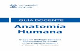 Anatomía Humana - uah.es · 3 1a. PRESENTACIÓN La Anatomía Humana se integra como asignatura básica del primer año de los estudios de grado en Ciencias Biosanitarias.