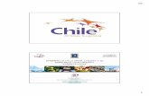 EXPERIENCIA DE LA FRUTA CHILENA Y SU ESTRATEGIA DE ... Chile.pdf · hjh 1 experiencia de la fruta chilena y su estrategia de marketing internacional ronald bown f presidente asociacion