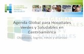 Agenda Global para Hospitales Verdes y Saludables en ...hospitalesporlasaludambiental.net/wp-content/uploads/2013/11... · 25% los residuos de plásticos ... termómetros de Hg a