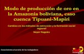 Modo de producción de oro en la Amazonía de Bolivia ...plataformaintegraldemineria.org/sites/default/files/bolivia_n... · productos • TCO LECOS DE LARECAJA: influencia de migraciones