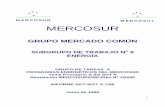 MERCOSUR MERCOSUL MERCOSUR - energia.gov.ar · ducto de la reformulación del papel del Estado en el Sector que cada país miembro ha realizado. ... • La evaluación de los recursos