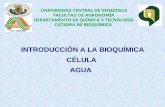 INTRODUCCIÓN A LA BIOQUÍMICA CÉLULA AGUA · introducciÓn a la bioquÍmica cÉlula agua universidad central de venezuela facultad de agronomÍa departamento de quÍmica y tecnologÍa