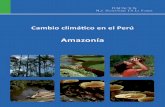 Amazonía - Portal Sobre Conservación y Equidad … · Este proceso es la consecuencia del modelo de crecimiento económico impulsado por los países desarrollados, basada en fuentes