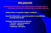 RESPUESTA FUNCIONAL DEL ORGANISMO … Respuesta... · Reactantes de fase aguda Mediadores inflamatorios (IL-6) INFLAMACIÓN FIEBRE ELEVACIÓN DE LA TEMPERATURA CORPORAL -Por estimulación