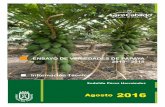 2015 Información Técnica - Agricultura y desarrollo ... · S/C de Tenerife y 175 ha en Las Palmas de Gran Canaria), según datos de 2014 de la Consejería de Agricultura del Gobierno