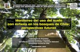 Monitoreo del uso del suelo con énfasis en los bosques de ... · Monitoreo del uso del suelo . con énfasis en los bosques de Chile; perspectivas futuras. Laboratorio de Geomática