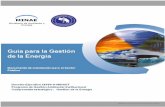 Elaborado por la Dirección Sectorial de Energía · El proceso inicia con un Diagnóstico Ambiental Inicial, paso 5 de la Guía PGAI, en la cual se da la aplicación de los “Protocolos