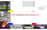 CVG Aluminios del Caroní, S.A. (CVG Alcasa) - …derechos.org.ve/pw/wp-content/uploads/MEMORIA-CVG-Alcasa.pdf · activa de debate y solución de problemas así como la toma de decisiones