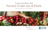 Línea de Base del - minagri.gob.pe · económicas y de desarrollo en las regiones cafe-LÍNEA DE BASE DEL SECTOR CAFÉ EN EL PER ...