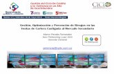 Gestión, Optimización y Prevención de Riesgos en las ...cicloderiesgo.com/8.marco-peralta.pdf · compras de portafolios de carteras ofrecidas por las entidades financieras, sector