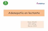 Adenopatía en lactante - aepap.org · • Exploración: –Tumefacción submandibular 3 cm –Indolora –No signos de inflamación ni fluctuación –No adherida –Consistencia