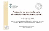 Protocolo de anestesia en la cirugía de glándula … · SARTD‐CHGUV Sesión de Formación Continuada Valencia 17 de Enero de 2012 Protocolo de anestesia en la cirugía de glándula
