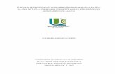 LUZ MARINA MINA CALDERÓN - repository.ucc.edu.corepository.ucc.edu.co/bitstream/ucc/304/1/AUDITORIA... · seguridad física y ambiental, seguridad en la operativa, seguridad en las