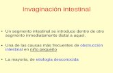 Invaginación intestinal - campus.usal.escampus.usal.es/~ogyp/Clases teoricas 2012 2013/Digestivo A Grande 3... · • Una de las causas más frecuentes de obstrucción intestinal