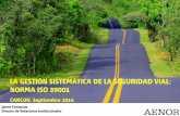 LA GESTIÓN SISTEMÁTICA DE LA SEGURIDAD VIAL…87.98.229.209/~ivcisev/iso/GESTION SISTEMATICA DE LA SV-ISO 390… · El sistema de seguridad vial es un sistema abierto y muy complejo