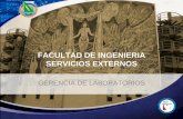 FACULTAD DE INGENIERIA SERVICIOS EXTERNOSfing.uach.mx/facultad/laboratorios/2016/01/20/SERVICIOS EXTERNOS... · Pruebas de Cianuración por percolación en columna de 35 kg. de mineral.
