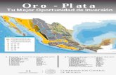 Oro - Plata · ¿Por qué Invertir en México? Potencial de Oro - Plata Contexto Geológico central de Nuevo León, San Luis Potosí y la Mesa Central con depósi
