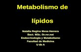 Metabolismo de lípidosmedicina.udea.edu.co/emd/metabolismo/lipidos/LIP-1-2010-2.pdf · Contenido 1. Utilización y transporte de las grasas y el colesterol 2. Oxidación de los ácidos