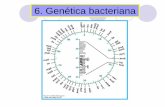 6. Genética bacteriana - jamontaraz.files.wordpress.com · Genética bacteriana. Consideraciones generales Las bacterias no poseen núcleo; el ADN bacteriano se encuentra en un cromosoma