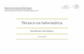 Técnico en Informáticacbta31mascota.edu.mx/assets/programa-téc.-informática.pdf · La carrera de Técnico en Informática ... de una red a través de un sistema operativo y aplicaciones