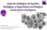 Examen citológico de líquidos biológicos y diagnóstico ...labclin2016.pacifico-meetings.com/images/site/Ponencias_LabClin... · • Liquidos serosos • L.Pleural (LPLEU) ...