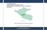 CARPETA GEOREFERENCIAL REGIÓN CERRO DE … · Oxapampa se ubica la cuenca del río Palcazú y del río Pichis, pertenecientes al sistema hidrográfico del Atlántico, y en la ...