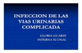 INFECCION DE LAS VIAS URINARIAS COMPLICADAs4c2fff5f23e56fed.jimcontent.com/download/version/1267662667/... · Factores de complicacióny los criterios de categorizaciónde los ...