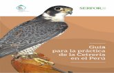 a para la práctica de la Cetrería en el Perú · Examen para obtener la licencia de cetrería ... lo cual pasa en gran medida por lograr poner en valor nuestro patrimonio y hacer
