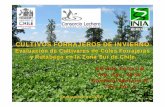 Charla Cultivos Forrajeros Invierno - Consorcio Lechero .Septiembre de 2010 CULTIVOS FORRAJEROS DE
