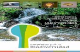 ENTRE TODOS, PODEMOS AYUDAR A MEJORAR …portal.cajadeburgos.com/.../folleto-empresas-por-la-biodiversidad.pdf · natural o de conservación de la biodiversidad en el contexto provincial