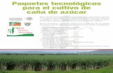 Paquetes tecnológicos para el cultivo de caña de azúcar · • Control de malezas, plagas y enfermedades • Condiciones de suelo • Condiciones climáticas • Capacitación