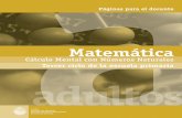 Matemática. Cálculo mental con números naturales. …sermaestro.com.ar/matematica1_d.pdf · extender la preocupación acerca de los procesos de alfabetización al campo del trabajo