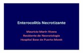 Enterocolitis Necrotizante - Neo Puerto Monttneopuertomontt.com/ReunionesClinicas/NEC.pdf · – Sd. de intestino corto (SIC) – Deterioro del crecimiento – Retardo del desarrollo