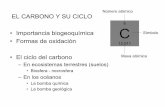 6 • Importancia biogeoquímica C • Formas de oxidación … · - Componente importante de la litosfera. ... Estado de oxidación Fórmula Nombre Observaciones + 4 CO3 - carbonatos