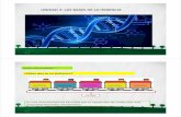 T2 Las bases de la herencia - aliciabiologia. Los ácidos nucleicos 1.3 Organización del ADN en las células Según la posición del centrómero… 13:47 El número de cromosomas