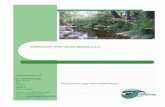 CURRICULUM GVITAE RUPO MESOFILO A.C.grupomesofilo.org/pdf/curriculum.pdf · “Establecimiento de un sistema de monitoreo, evaluación y seguimiento de flora y fauna para las comunidades