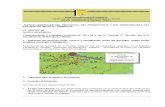 Construcción de 4 estanques acuícolas de 50 x 25 X …sinat.semarnat.gob.mx/dgiraDocs/documentos/tab/estudios/2005/27TA... · C. Presentar un plano de conjunto con la totalidad