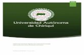 Universidad Autónoma de Chiriquí - unachi.ac.pa€¦ · Internacional IUGT- UNACHI- 23/6/2015- 23/6/2016 Toda la Universidad Intercambio permanente de información técnica, científica,