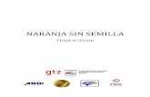 NARANJA SIN SEMILLA - resultados1.comresultados1.com/caja-ue/images/stories/fichas/honduras/hn-naranja... · Las variedades de naranja sin semillas, como la Novel, no son ... (excluyendo