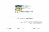 “Los Ríos de Sobrarbe - geoparquepirineos.com · comunidad fluvial. Para esto, ... ribereñas estaba el conocimiento de la dinámica y evolución del río y los riesgos asociados