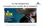 EL PIE DIABETICO Complicación tardía de la diabetesfmdiabetes.org/wp-content/uploads/2017/04/Cuidados-de-los-pies_Enf... · A diversos tipos de lesiones en los pies que puede presentar