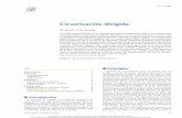 Cicatrización dirigida - Apache2 Debian Default Page: It ...paginas.facmed.unam.mx/deptos/cirugia/images/Articulos_casos/Tema... · Cicatrización dirigida M. Revol, J.-M. Servant