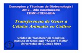 Transferencia de Genes a Células Animales en Cultivo · Transferencia de Genes a Células Animales en Cultivo Conceptos y T écnicas de Biotecnolog ía I 2012 –2do cuatrimestre