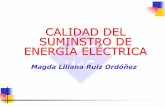 CALIDAD DEL SUMINSTRO DE ENERGÍA ELÉCTRICAeia.udg.es/~secse/curso_calidad/qualitat_del_servei_electric_tema3.pdf · Calidad del servicio eléctrico ... Variaciones lentas de tensión: