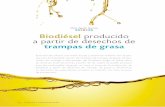 nnnnnnn Biodiésel producido a partir de desechos de ... · ... ya se analizó para el B100 y para el B20, ... Sin embargo, el uso de biodiésel y sus ... drenaje municipal o a algún