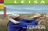 semillas - Leisa revísta de AGROECOLOGIA · 9 Manejo de semillas y diversidad del maíz Jon Hellin y Mauricio Bellon 12 Semillas nuevas, ... minos de políticas y leyes: uno en Cuba